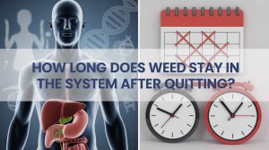 How Long Does Weed Stay in the System After Quitting