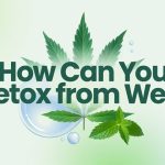 How Can You Detox from Weed