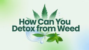 How Can You Detox from Weed