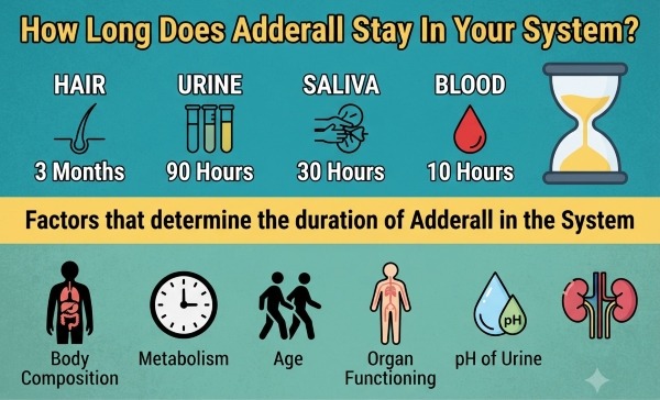 Adderall 20mg Stay in Your System